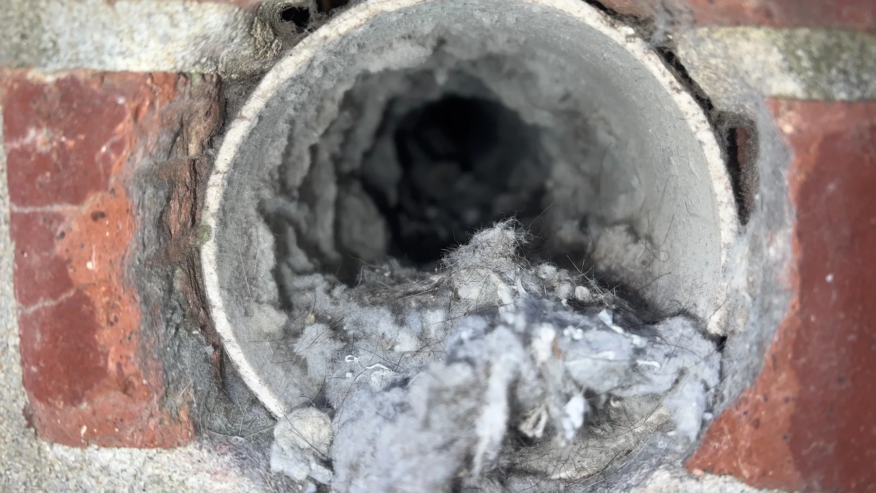 Dryer Vent Cleaning - Lint buildup