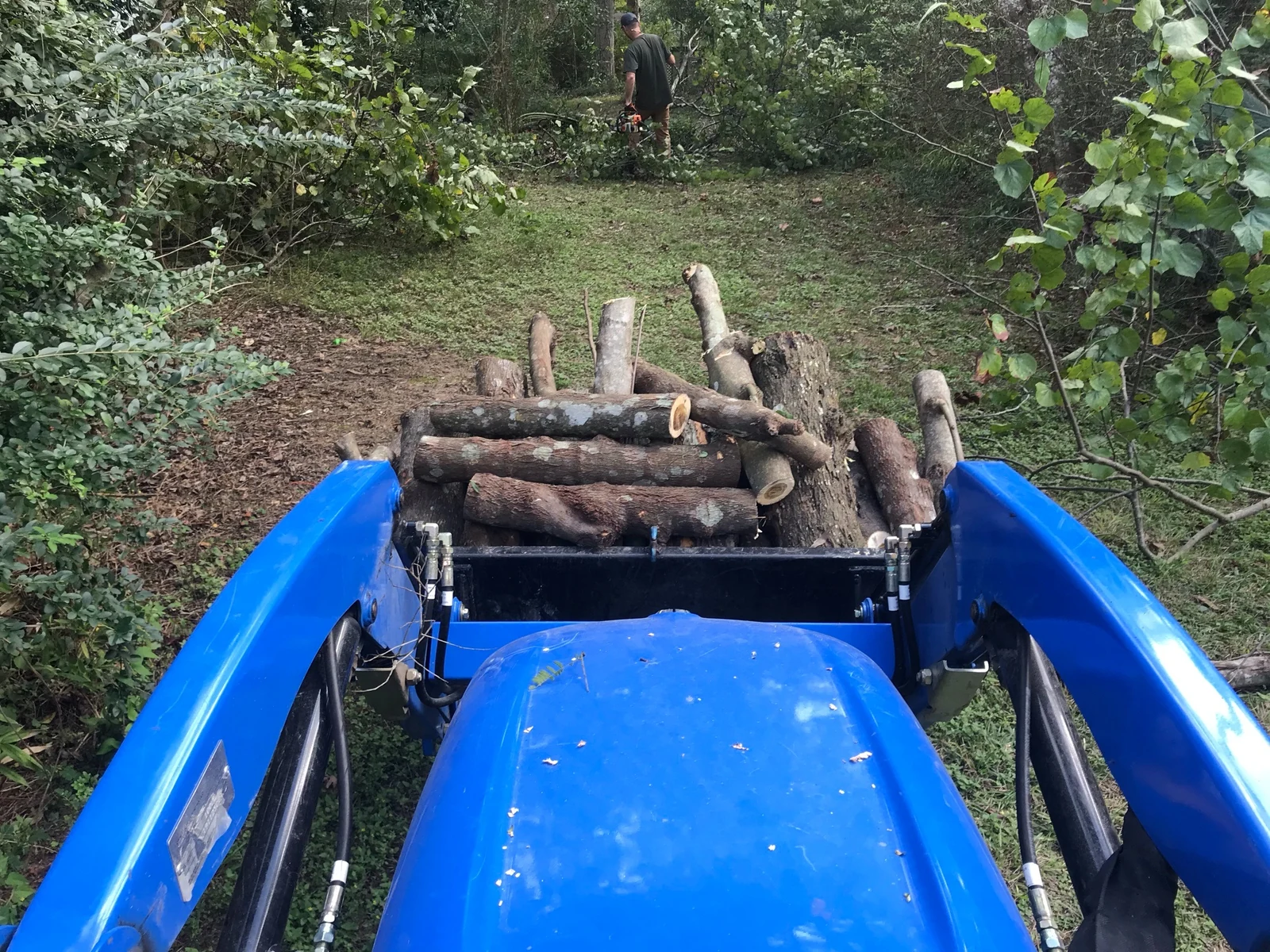 Tractor moving cut logs through wooded property
